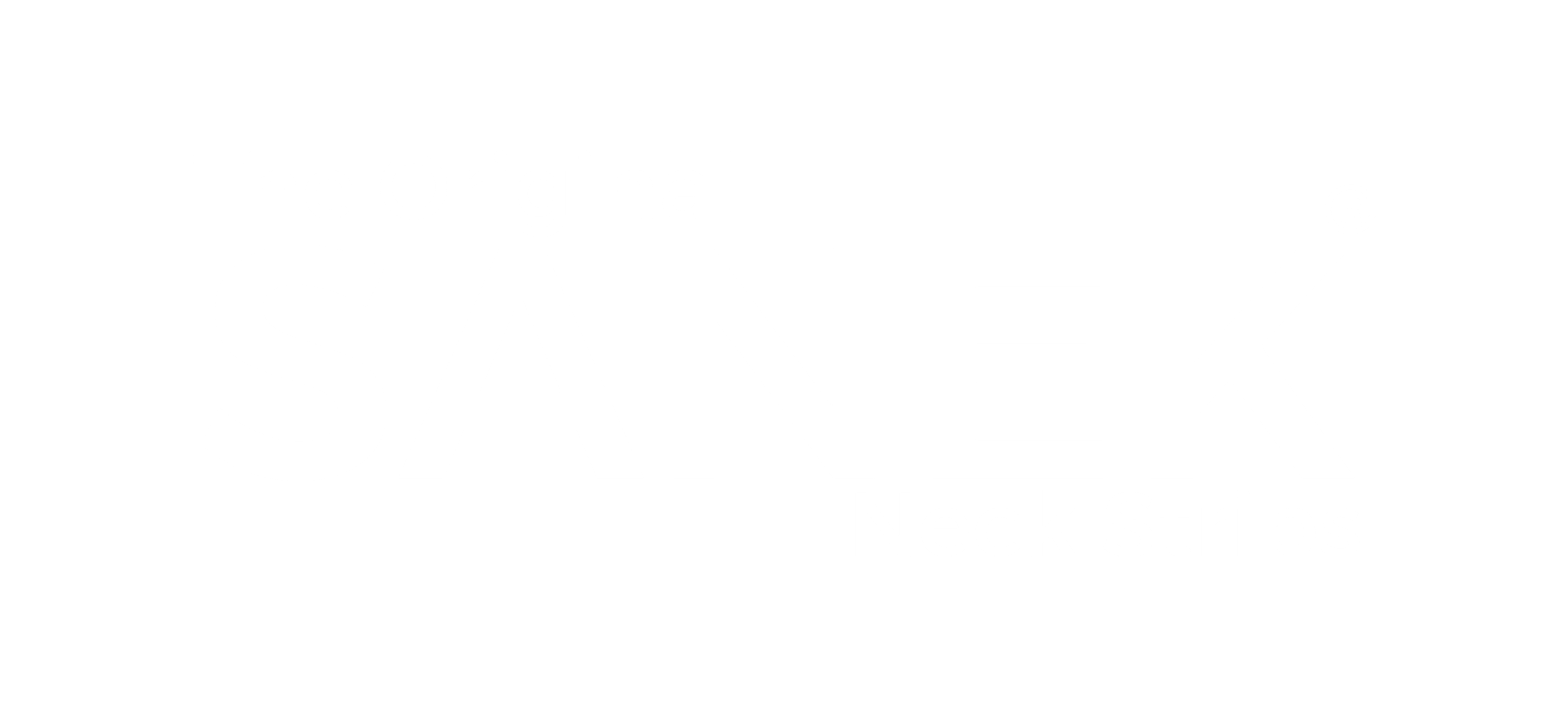 sanek
